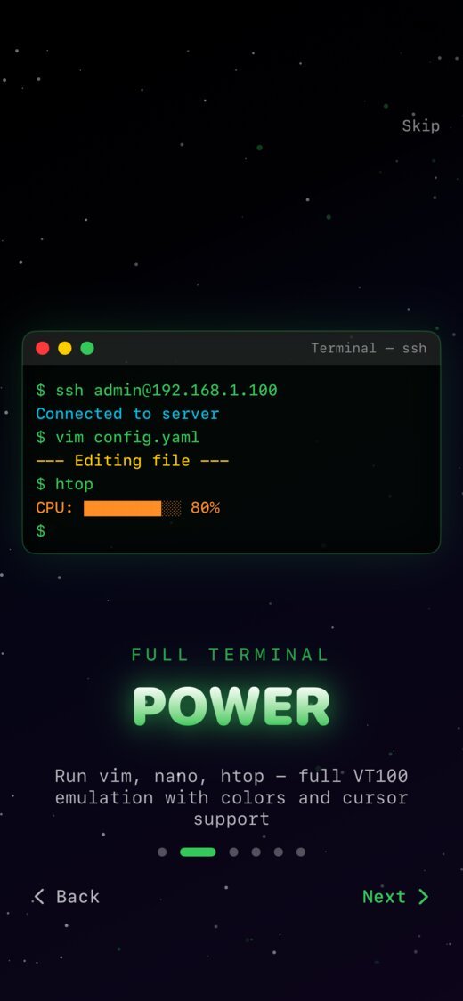 NetShell SSH terminal with colorized output